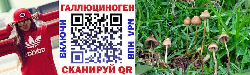 Галлюциногенные грибы мухоморы  закладки  omg рабочий сайт  Бирюч 